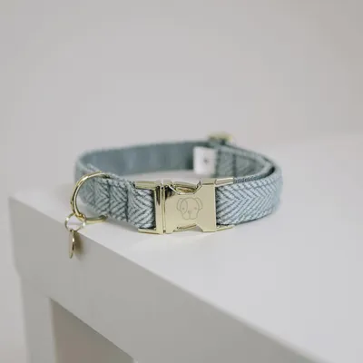 Productafbeelding van Kentucky Dogwear hondenhalsband, wol
