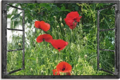 Produktbild von ARTland Leinwandbild Fensterblick - Klatschmohn Größe: 30x20 cm