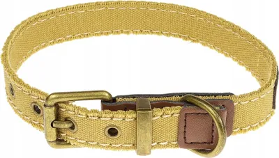Produktbild von Kragen für einen kleinen mittleren materiellen Hund (M)