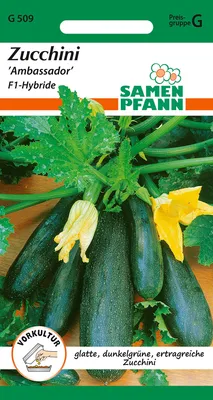 Artikelbild 1 von 'Zucchini Ambassador F1' aus der Kategorie Zucchinisamen