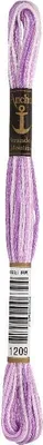 Immagine prodotto di Cotone Anchor Stranded 01209 8 m Filato per ricamo