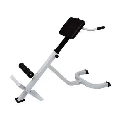 Image de vidaXL Exercices pour le dos et le ventre