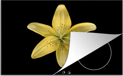 Produktbild von KitchenYeah© Herdabdeckplatte Eine gelbe Lilienblüte auf schwarzem Hintergrund , 80x52cm, Küche Deko, Glaskeramikkochfeld Herdabdeckung, Abdeckplatte fùr Kochfeld
