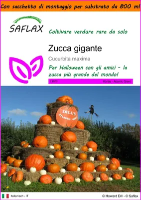 Immagine prodotto di SAFLAX Garden in the bag - Zucca gigante  - 7 semi - Cucurbita