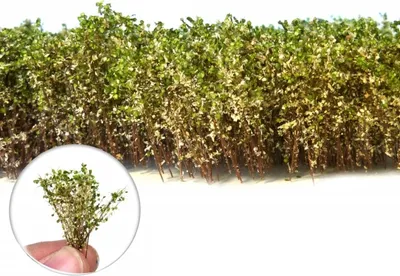 Produktbild von Green Stuff World - Tall Shrubs White-Green 40mm