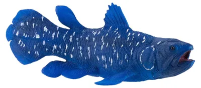 Obrázok produktu pre Mojo Fun Coelacanth, 3 rok / roky, SEALIFE, Modrá, Biela, Polyvinylchlorid (PVC)