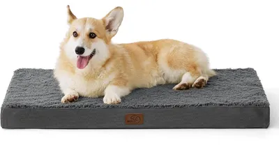 Produktbild von Orthopädisches Hundebett 89x56x8 cm Dunkelgrau Waschbar