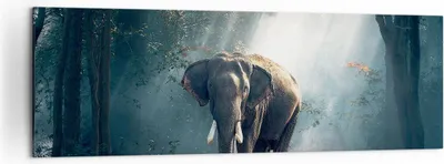Produktbild von Bild auf Leinwand - Leinwandbild - elefant natur - 160x50cm - Wand Bild - Wanddeko - Wandbilder - Leinwanddruck - Bilder - Kunstdruck - Wanddekoration - Leinwand bilder - Wandkunst - AB160x50-3972