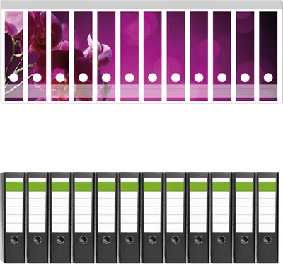 Produktbild von Wallario 12 Stück breite Ordner inkl. Klebeetiketten mit Motive Rosafarbene Orchidee  Blüten in pink -  Set mit Rückenschildern / Ordnerrücken Stickern