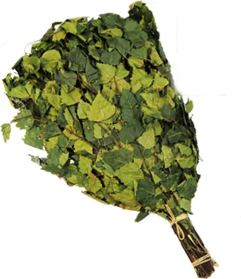 Produktbild von Birkenreisig mit Minze ca. 55-60cm Birkenquast Wenik Sauna Banja