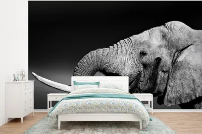 Produktbild von MuchoWow® Fototapete für Wohnzimmer oder Schlafzimmer Wandtapete Vinyl Motivtapete Elefant - Wasser - Tiere - Schwarz - Weiß - 320x240 cm - Tapeten