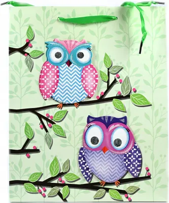 Produktbild von Geschenktüte Eule für Kinder 26x32cm - Bunte Papiertüte Geburtstag - Tragetasche