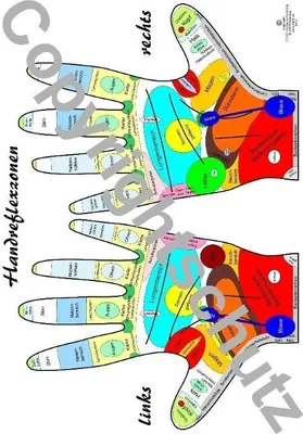 Produktbild von Handreflexzonenübersicht