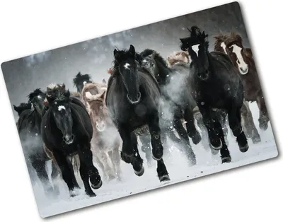 Produktbild von Tulup Glas Herdabdeckplatte - 80x52 cm - Glaskeramikkochfeld-Abdeckung Spritzschutz Glasabdeckplatte - Einteilig - Tiere - Pferde im Galopp - Schwarz