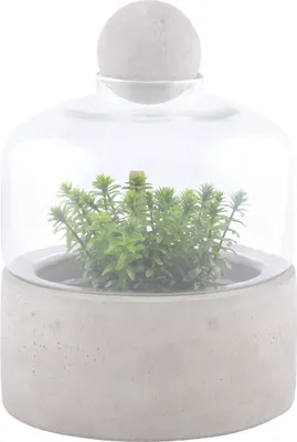 Obrázek produktu pro ESSCHERT DESIGN Miniskleník s poklopem, M