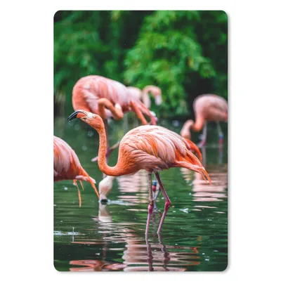 Produktbild von MuchoWow® Mauspad Mousepad Flamingo - Tropisch - Vogel - Wasser - Rosa 18x27 cm - Mousepads - Maus Mat - Pad - Mausunterlage