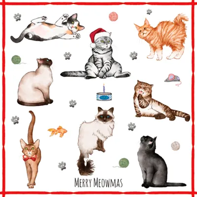 Produktbild von Servietten Papier 33x33cm mit Katzen Motiv 20 Stück Weiß / Bunt