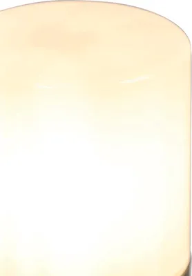 Produktbild von Stehende Außenlampe Schwarz mit Opalschirm Weiß 30 cm IP44 Odense