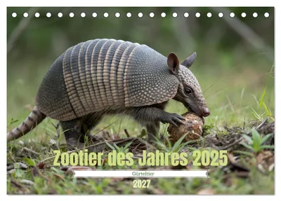 Produktbild von Zootier des Jahres 2025 - Gürteltier (Tischkalender 2027 DIN A5 quer), CALVENDO Monatskalender