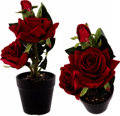 Produktbild von Künstliche Rosen im Topf 16cm - Romantische Deko - Realistische Kunstblumen - Versch. Farben