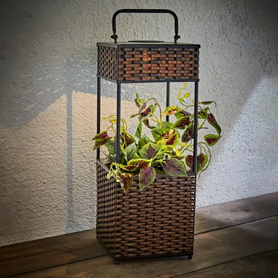 A woven planter with a plant inside, placed on a wooden surface against a textured wall.