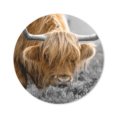 Produktbild von MuchoWow® Mauspad Mousepad Scottish Highlander - Pflanzen - Schwarz - Weiß 40x40 cm - Mousepads - Maus Mat - Pad - Mausunterlage - Schreibtisch Accessoires