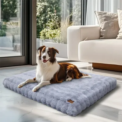 A dog is lying on a plush dog bed in a modern living room with large windows and a sofa.