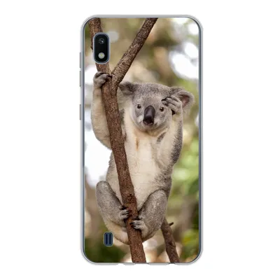 Produktbild von MuchoWow® Handyhülle Schutzhülle Hülle für Samsung Galaxy A10 Koala - Äste - Tier - Kinder - Jungen - Mädchen Silikon Softcase Handy Hülle - Schutzhülle