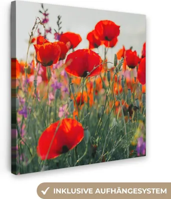 Produktbild von MuchoWow® - Leinwandbilder - Mohn - Blumen - Rot - Lila - Wiese, Wandbild, Wanddeko Bilder Wohnzimmer, 50x50 cm