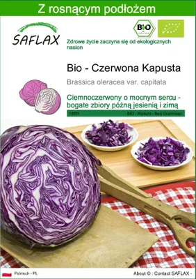 Zdjęcie produktu dla SAFLAX - Bio - Czerwona Kapusta - 250 Nasiona - Z podłożem uprawowym wolnym od zarazków - Brassica oleracea var. capitata