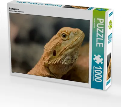 Produktbild von Calvendo Bartagame 1000 Teile Puzzle quer 640x480mm, Hultsch Heike; 7288302