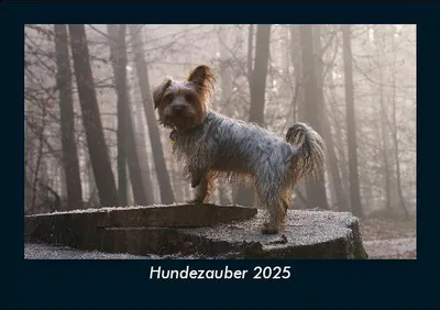 Produktbild von Hundezauber 2025 Fotokalender DIN A5