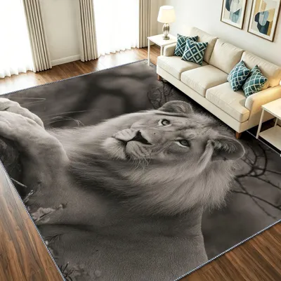 Obrázok produktu pre Umývateľný koberec do obývačky, 160 x 230 cm
