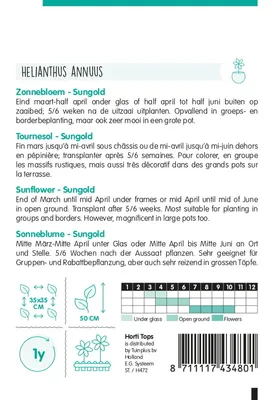 Produktbild von Sonnenblume Sonnengold Niedrig Gefüllt | Sonnenblumensamen von Hortitops [MHD 07/2024]