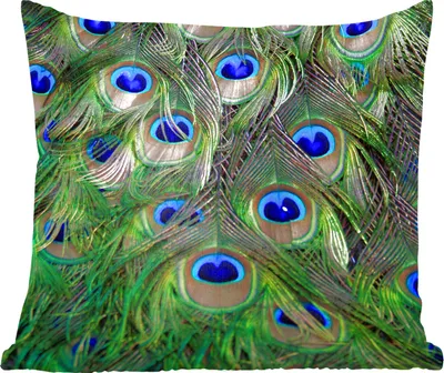 Produktbild von MuchoWow® Zierkissen Sofakissen Wohnzimmer Dekokissen 40x40 cm Pfau - Federn - Augen - Blau - Foto Kissen - Schlafzimmer Dekoration