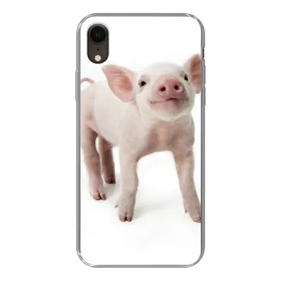 Produktbild von MuchoWow® Handyhülle Schutzhülle Hülle für iPhone XR Schwein - Tiere - Weiß Silikon Softcase Handy Hülle - Schutzdeckel