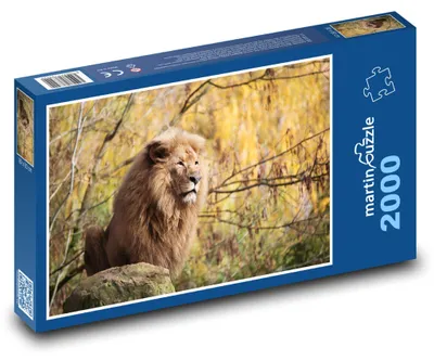 Zdjęcie produktu dla Puzzle 2000 Lew na wolności - martinpuzzle