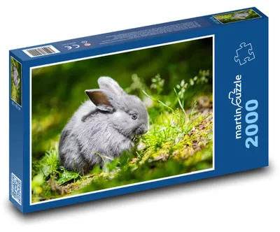 Obrázek produktu pro martinpuzzle - Puzzle 2000 - Králík