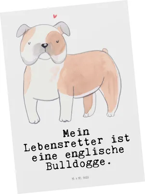 Produktbild von Mr. & Mrs. Panda Postkarte Englische Bulldogge Lebensretter - Weiß - Geschenk, Grußkarte, Ansichtskarte, bildkarte, Ansichtskarten, Postkarten