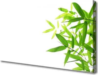 Produktbild von Tulup Leinwand-Bilder 100x50 Wandbild Canvas Kunstdruck Blätter Pflanzen