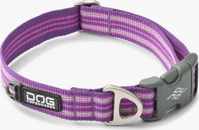 Produktbild von Dog Copenhagen V3 Style Collar Purple Passion L