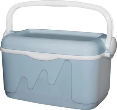 Produktbild von Curver Kühlbox 10L - grau - Kunststoff Kühlbox für Picknick und Reisen
