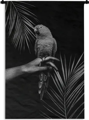 Produktbild von MuchoWow® Wandteppich Wandbehang Vogel vor schwarzem Hintergrund - schwarz und weiß 90x135 cm Tapisserie Dekoration Wandtuch - Baumwolle - Wandskulptur