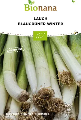 Produktbild von Porree Blaugrüner Winter Gemüsesamen