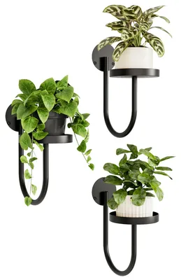 Image de Support mural pour fleurs, lot de 3 – Étagère à plantes en métal en forme de U pour le salon et le balcon, support suspendu pour pots de fleurs, noir