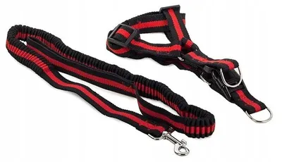 Produktbild von Verk 19115 Nylon-Hundegeschirr mit Leine, 200 x 2,5 cm, rot
