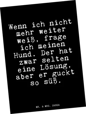 Produktbild von Mr. & Mrs. Panda Postkarte Wenn ich nicht mehr... - Schwarz - Geschenk, Haus, Grußkarte, Ansichtskarte, Postkarten, bildkarte, Hund, Liebe, Tier, Ansichtskarten, Sprüche