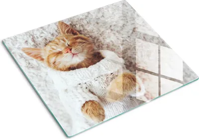 Imagen del producto de Cubierta para placa de cocina – Cubierta para placa de inducción – Placa de vidrio protectora – 60x52 cm – Placas de vidrio protectoras para cocina – Vidrio templado – Jersey para gatito