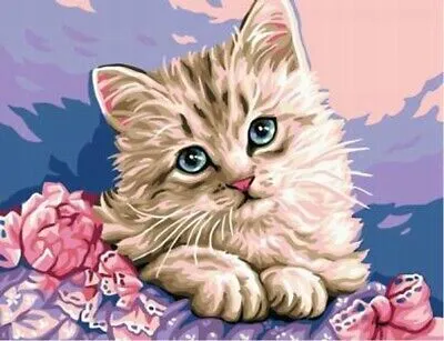 Produktbild von 50x40 cm Malen nach zahlen Set mit Holzrahmen Kissen Katze