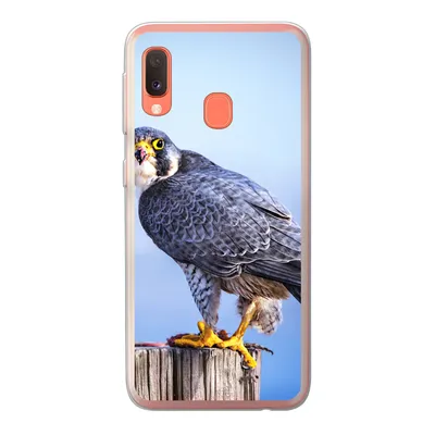 Produktbild von MuchoWow® Handyhülle Schutzhülle Hülle für Samsung Galaxy A20e Nahaufnahme eines Raubvogels auf einer dicken Holzstange Silikon Softcase Handy Hülle - Abdeckung